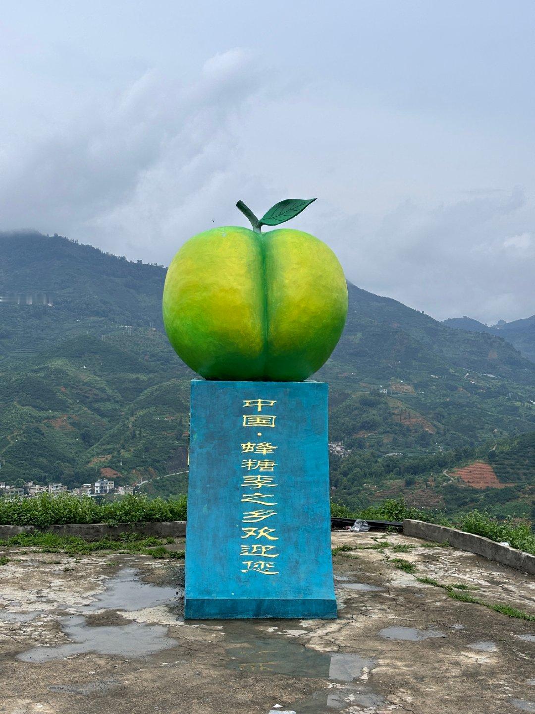 我犹豫了很久，都没有给大家推贵州六马的蜂糖李，因为在我的印象中，大家的经济都不宽