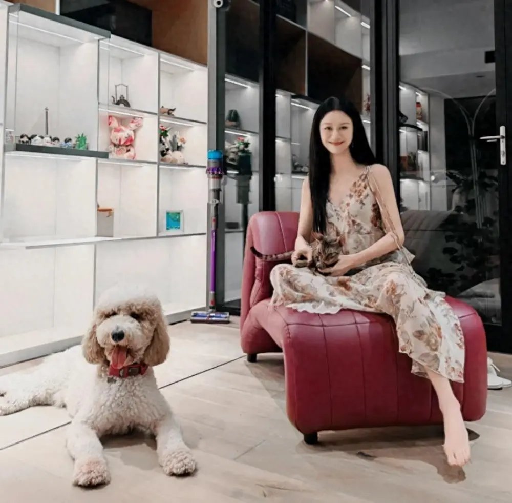 倪虹洁晒上海别墅新家，和现男友同居15年拒再婚，养大狗治愈情伤！ ​​​