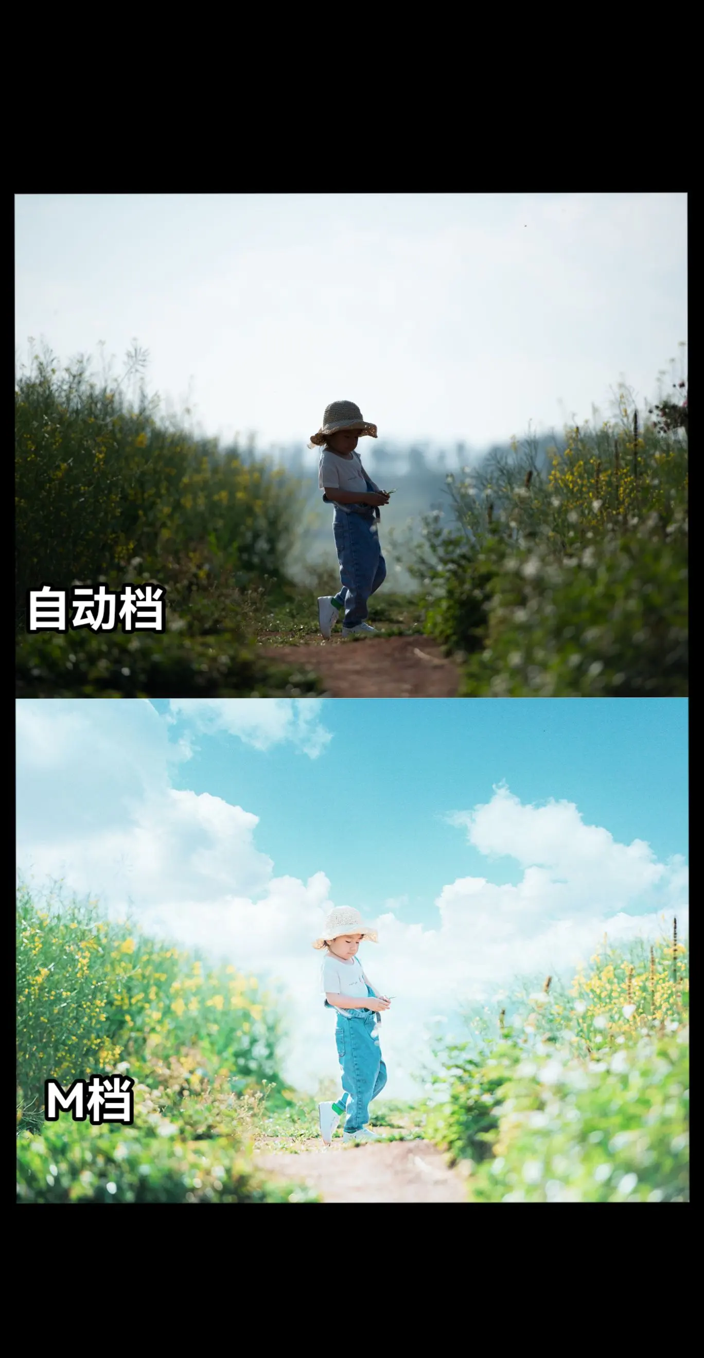 当我学会了M档…hi！给大家带来了一期摄影的基础知识，曝光三要素，光圈...