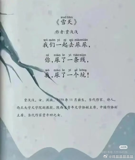 贾浅浅论文被指涉嫌大面积抄袭贾女士的诗也别有风味，直白、浅显、通俗。 