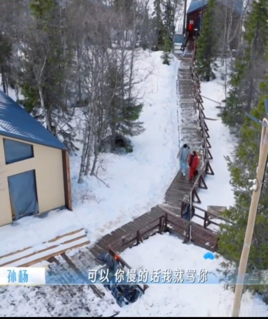 张豆豆说喜欢孙杨骂她 孙杨当众让张豆豆给他道歉张豆豆孙杨雪地道歉这段，真是把“迷