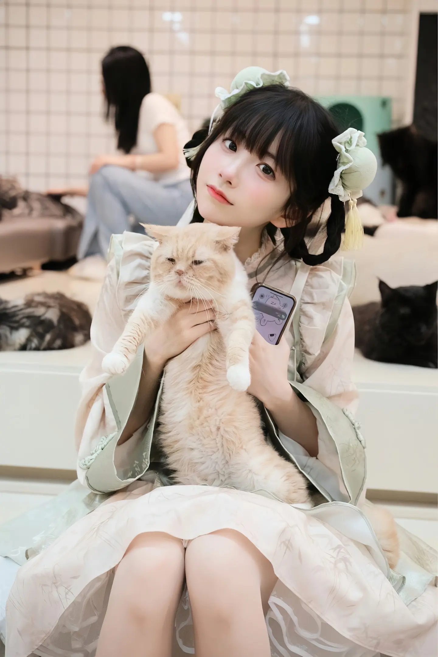 摸摸小猫头 万事不用愁