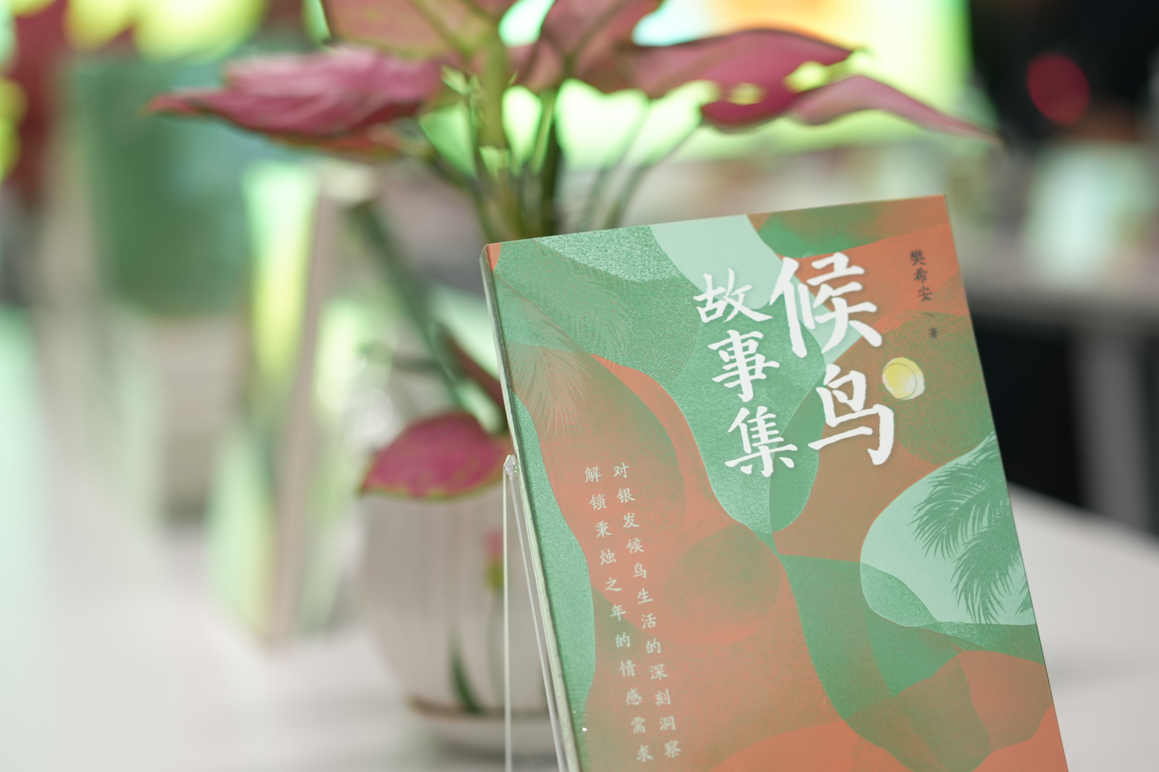 《候鸟故事集》研讨会举行：共探新大众文艺的“在地性与流动性”