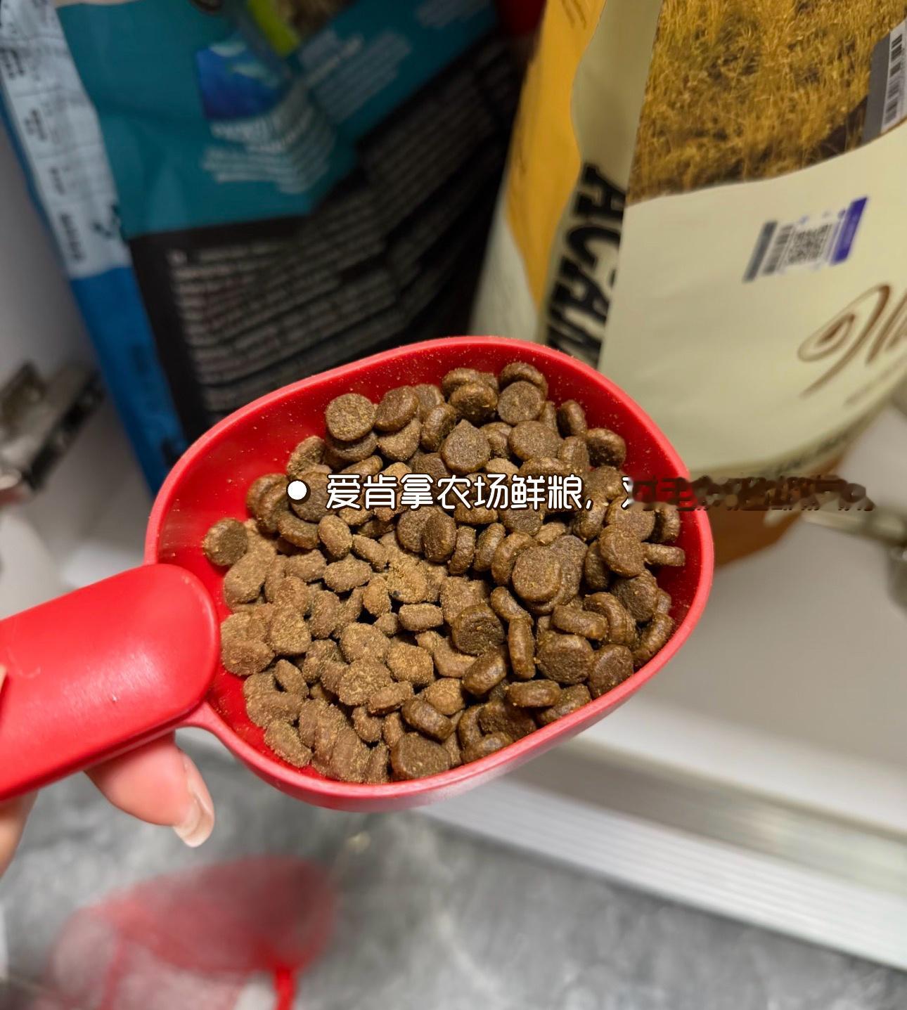 这波618不玩虚的，上淘宝，大牌好物现在买，享官方立减商品8.5折起！今年主打一