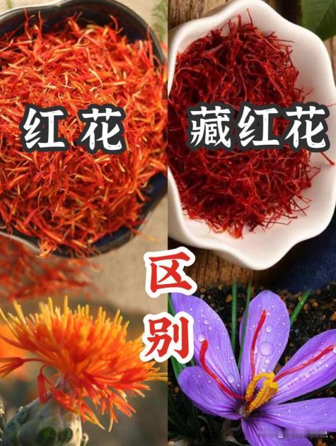 藏红花怎么喝？红花也是一样的吗？
 
很久以前就一直听闻藏红花吃了好，说可以活血