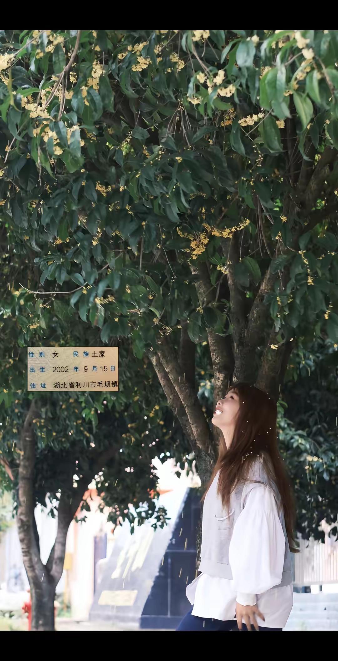 02年的马 今年24岁 都说十马九苦 命不好 其实说白了 就是性子急 心软 吃不