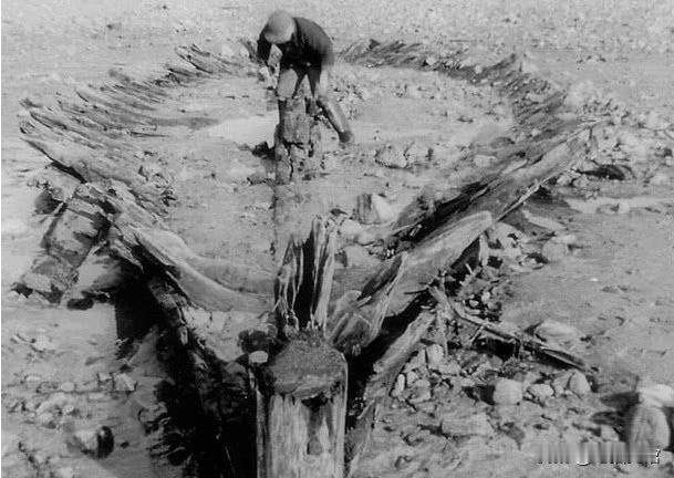 1958年，美国缅因州一名男子，正在海边散步。突然，海滩上出现一只15米长的乌龟