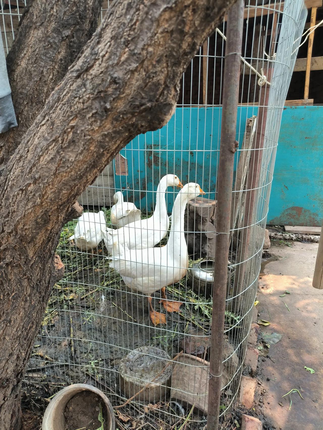 记录我的12月充实、快乐而温暖的12月即将过去，在这个月里，我天天早晨7点左右起