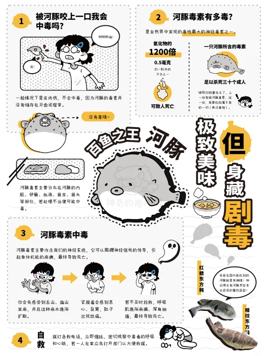 一图读懂‼️剧毒美食🐡怎样安全享用