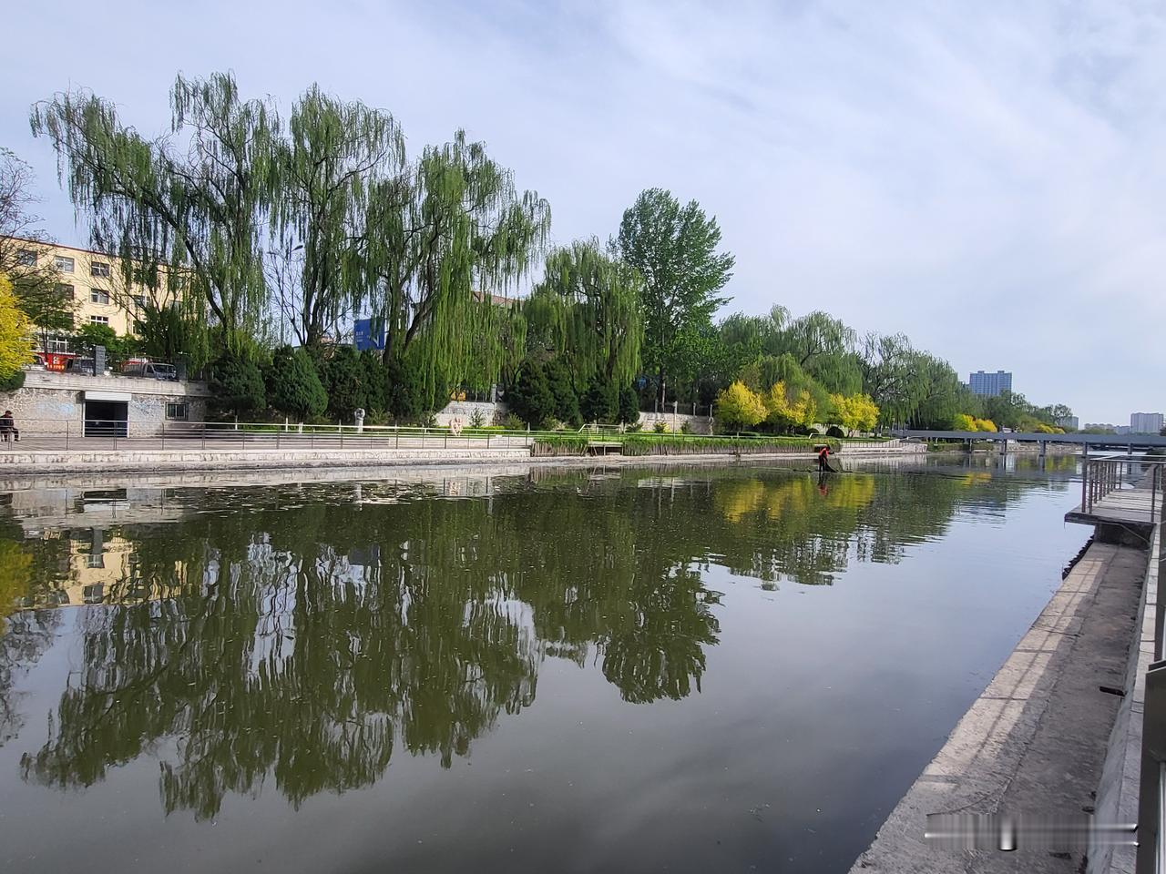 分享优美的摄影作品镜头下的世界如此生动，仿佛能听见画面里的风声，看见时间流淌的痕