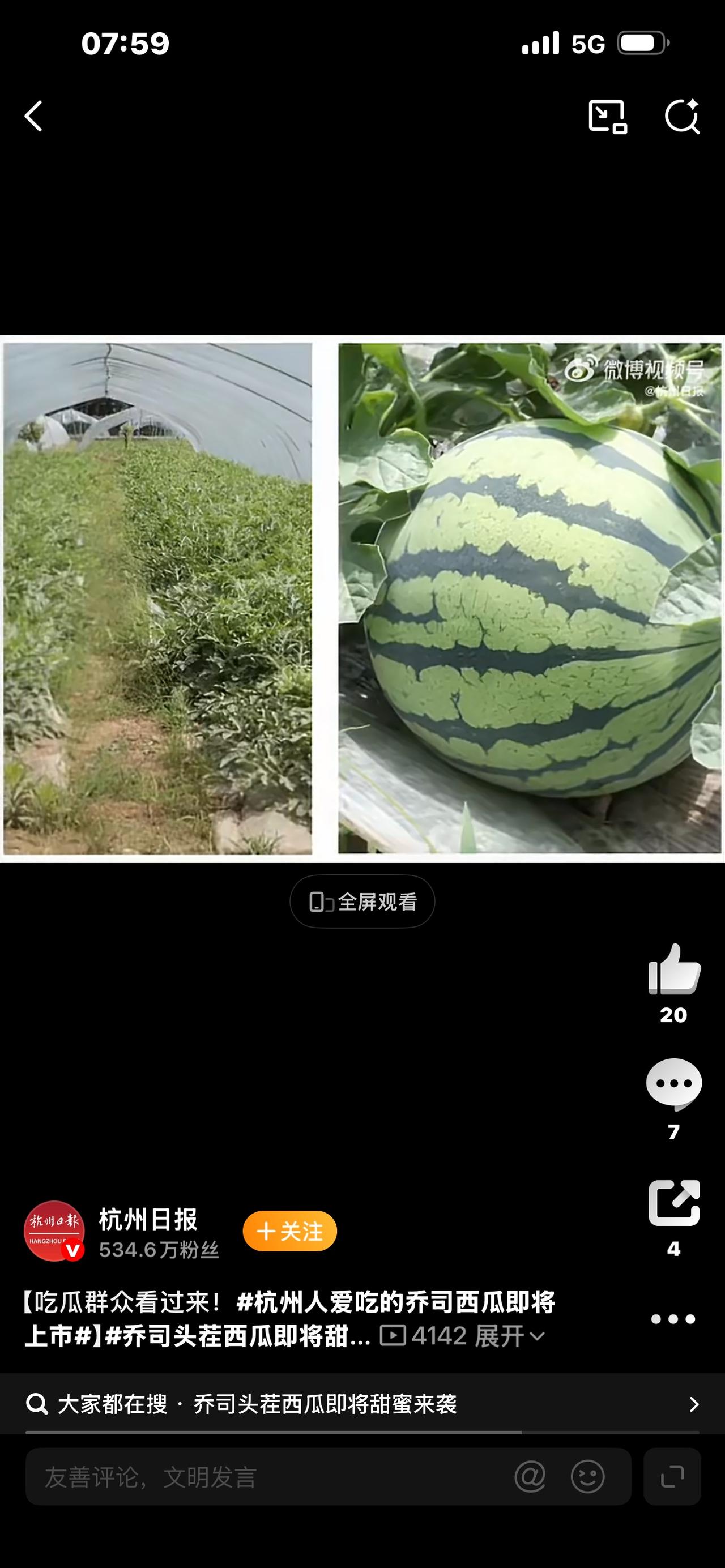 杭州人疯抢的乔司西瓜上市！50年顶流，凭啥成夏日灵魂？


杭州人夏天的命，是乔