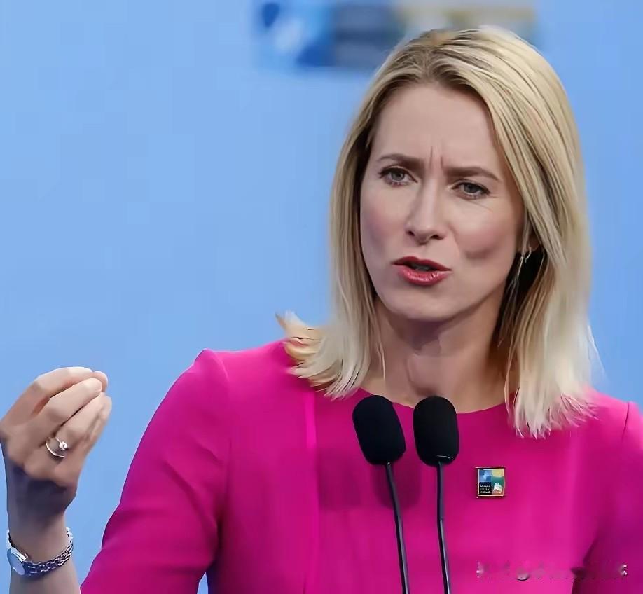 欧盟外长卡拉斯骄傲的称:美国是盟友

12月6日，针对美国国家安全战略报告中对欧