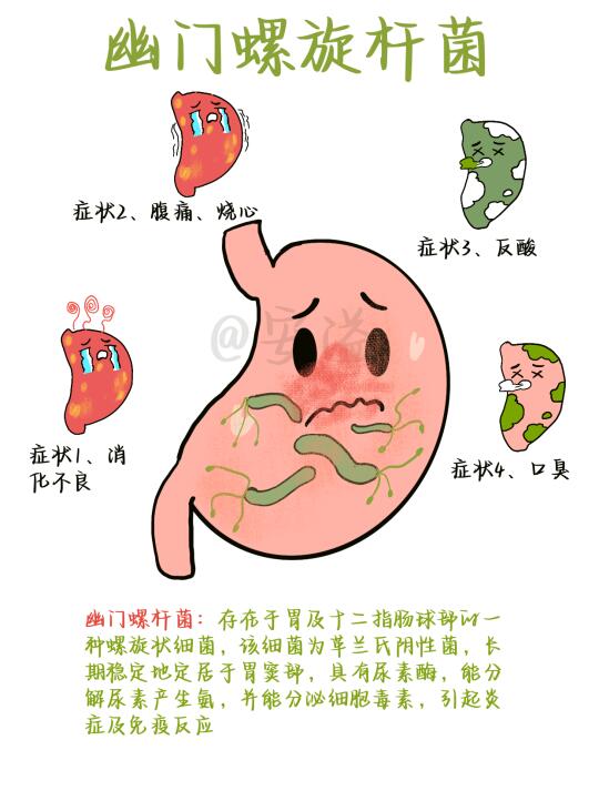 医学生绘本‖幽门螺旋杆菌🉐重视