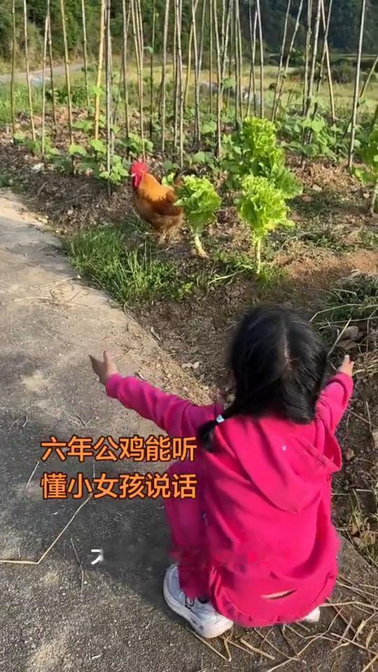 过来，我带你回家。