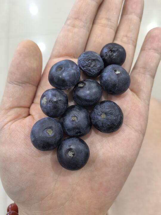 最近要买蓝莓的注意了！！！