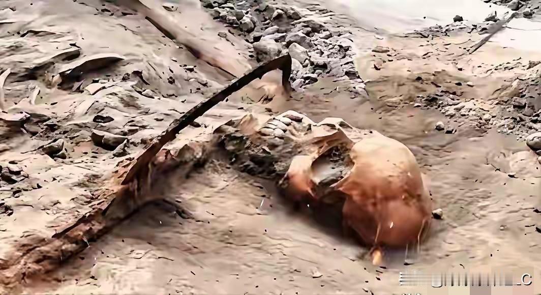 河南舞钢那边动土挖出来的东西，真把人给震住了。

不是啥金银财宝，是整整1068