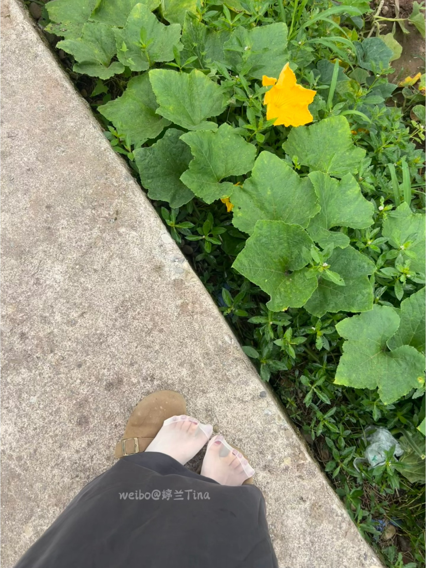 这个加固的程度我刚好喜欢，也能看得清美甲 