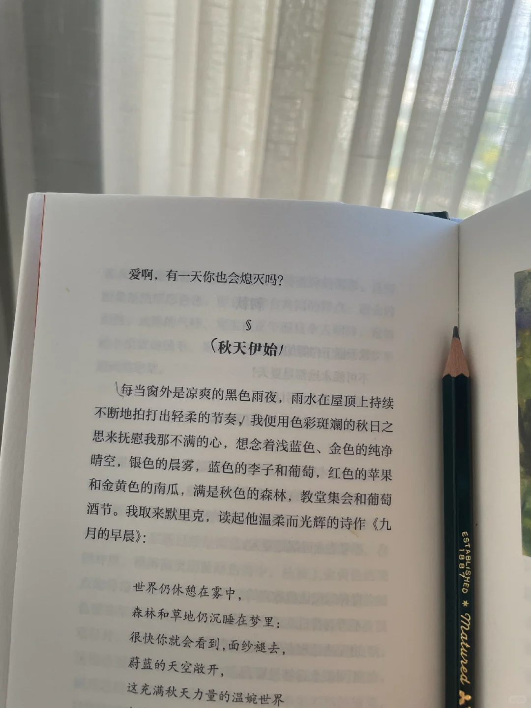 下雨天宅家读黑塞📖