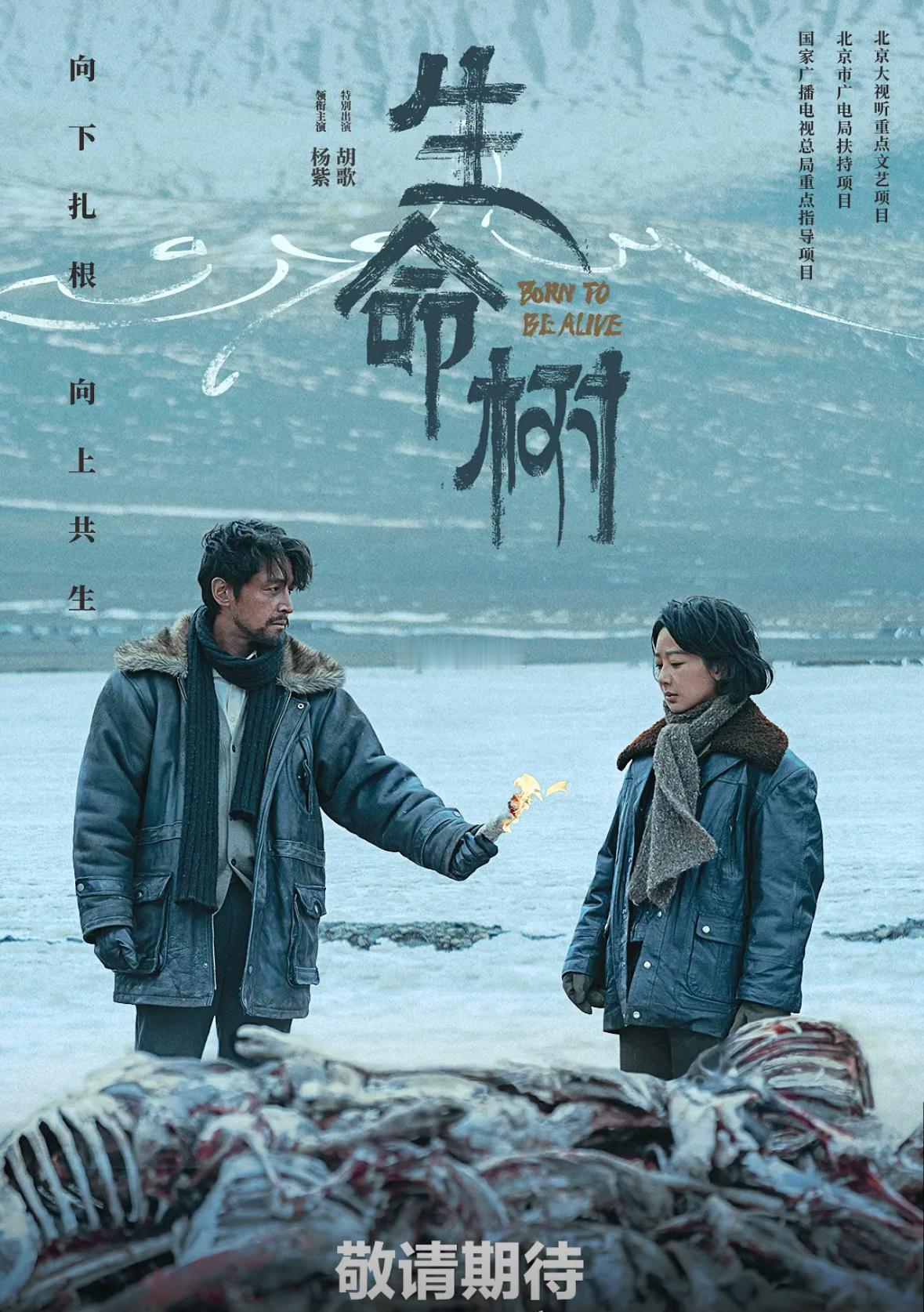 胡歌杨紫新剧《生命树》官宣定档月底！神仙组合终于要来了，火速蹲一个追剧搭子，有人