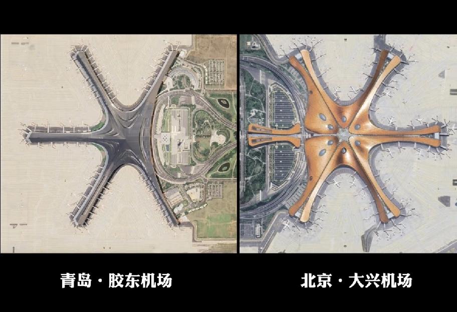 一个海星的正反面，大兴是有皮燕的那边[捂脸]