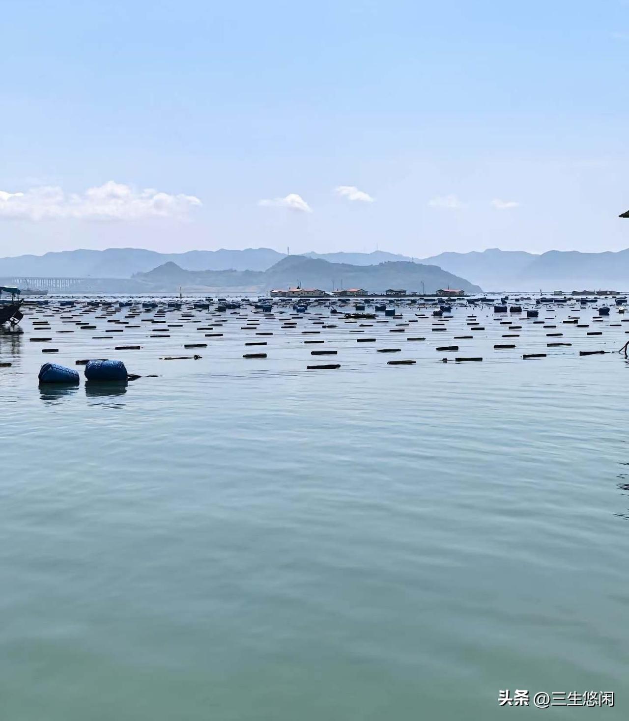 一段非常现实的话：“和穷人打交道，要接受他们的占便宜、献媚、讨好、算计、认知低、
