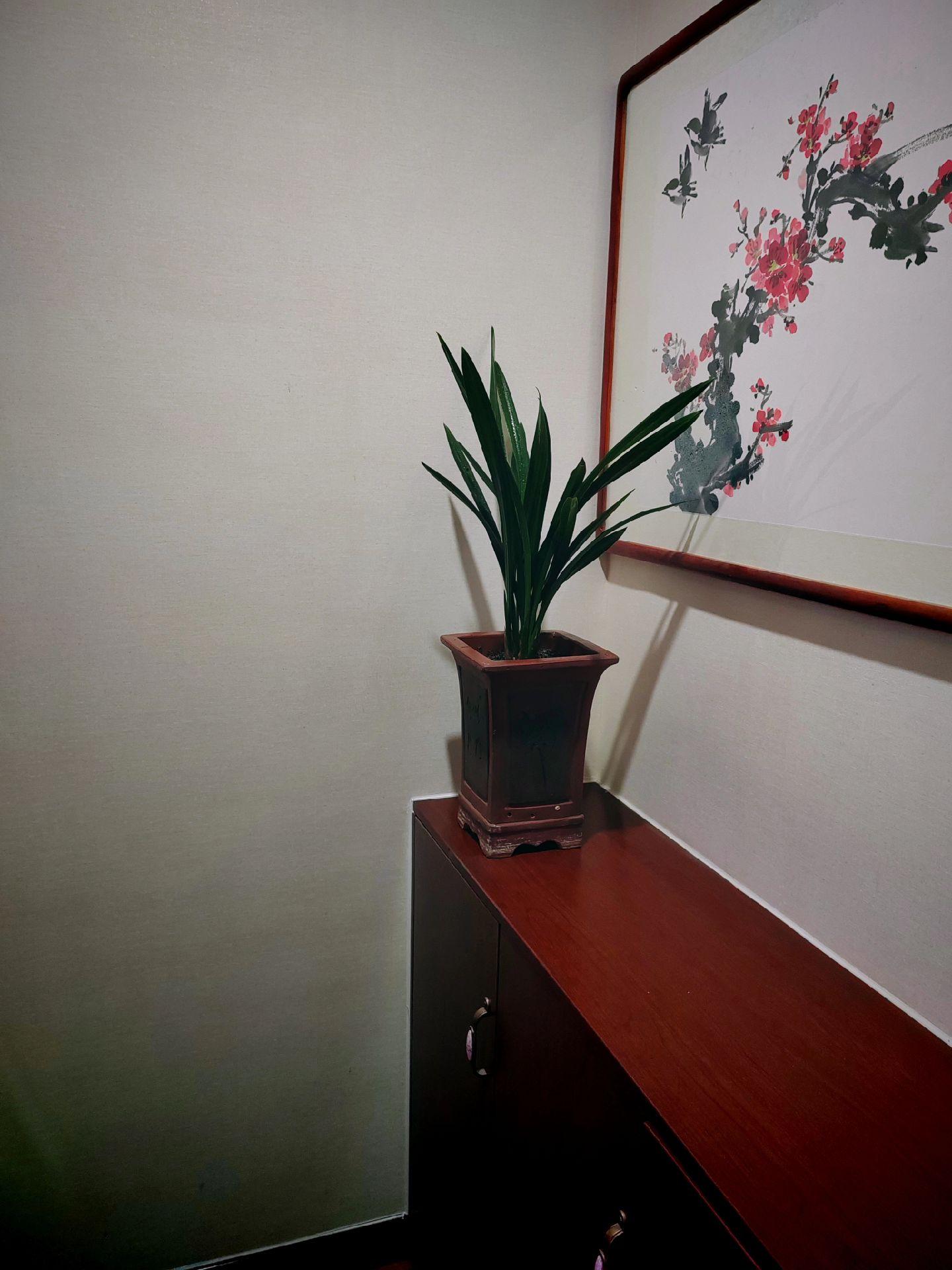 婚礼的现场，除了一小部分真正的亲朋好友会由衷地祝福，其他大多数人只是无...