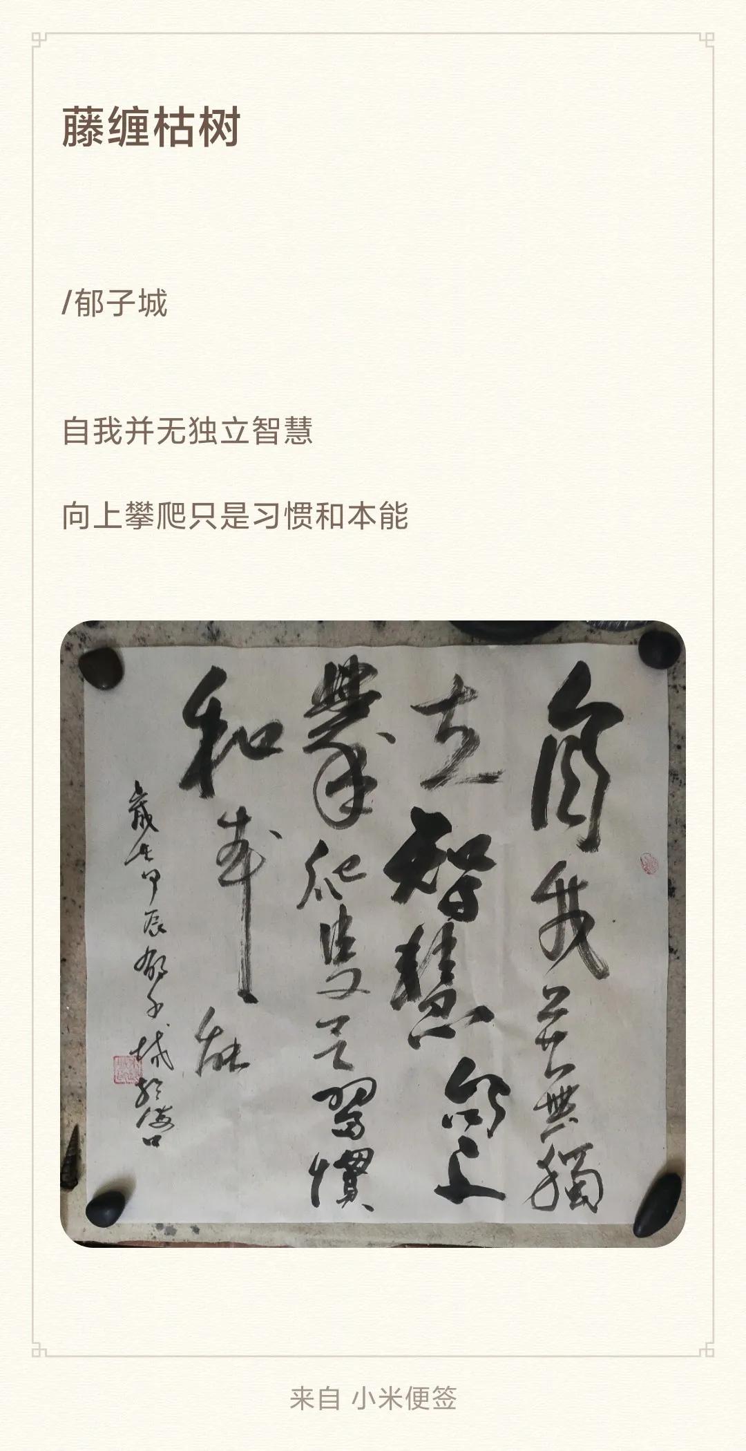 藤缠枯树

/

自我并无独立智慧
向上攀爬只是习惯和本能