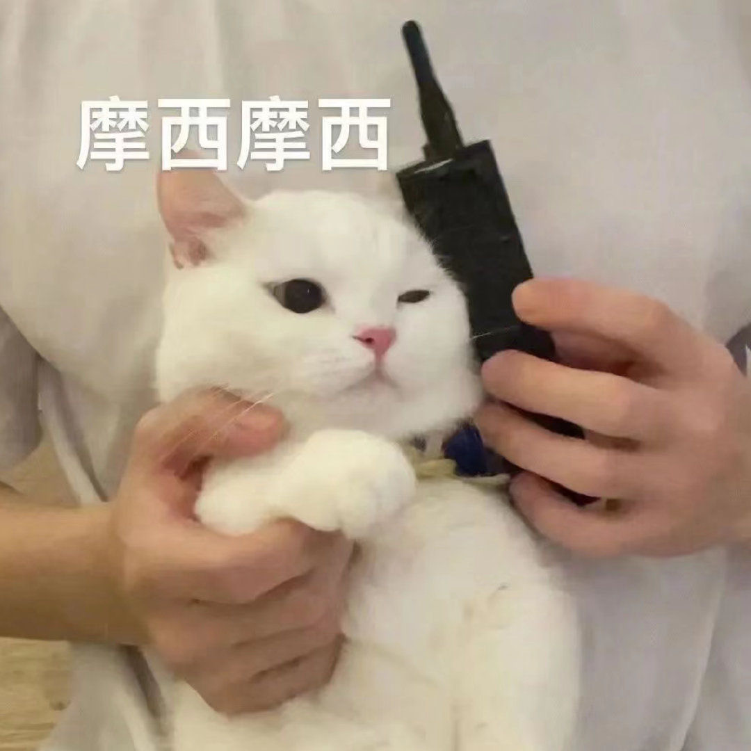 全方面完蛋#表情包[超话]##沙雕表情包[超话]##可爱的表情包[超话]# ​​