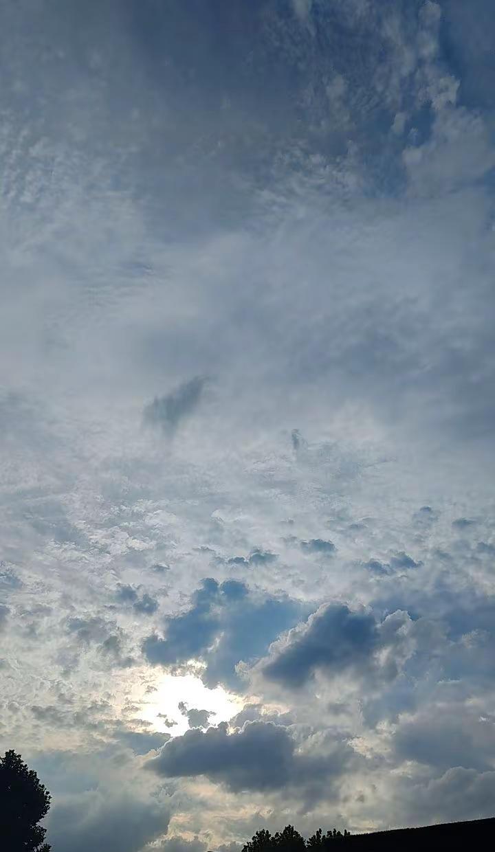 内心的平静安定是最大的力量足以抵御万千风雨。 且停且忘且随风，且行且看且从容。心