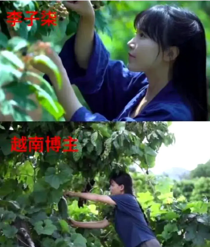 #越南模仿李子柒的博主也停更三年#抄袭李子柒的越南博主，厚颜无耻停更三年后再度现