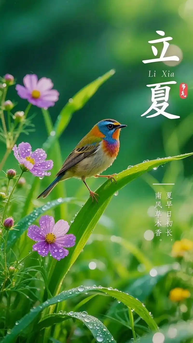 眼瞅着5月5号立夏就要到了，家族群里又开始刷屏式转发养生提醒，说得有鼻子有眼，仿