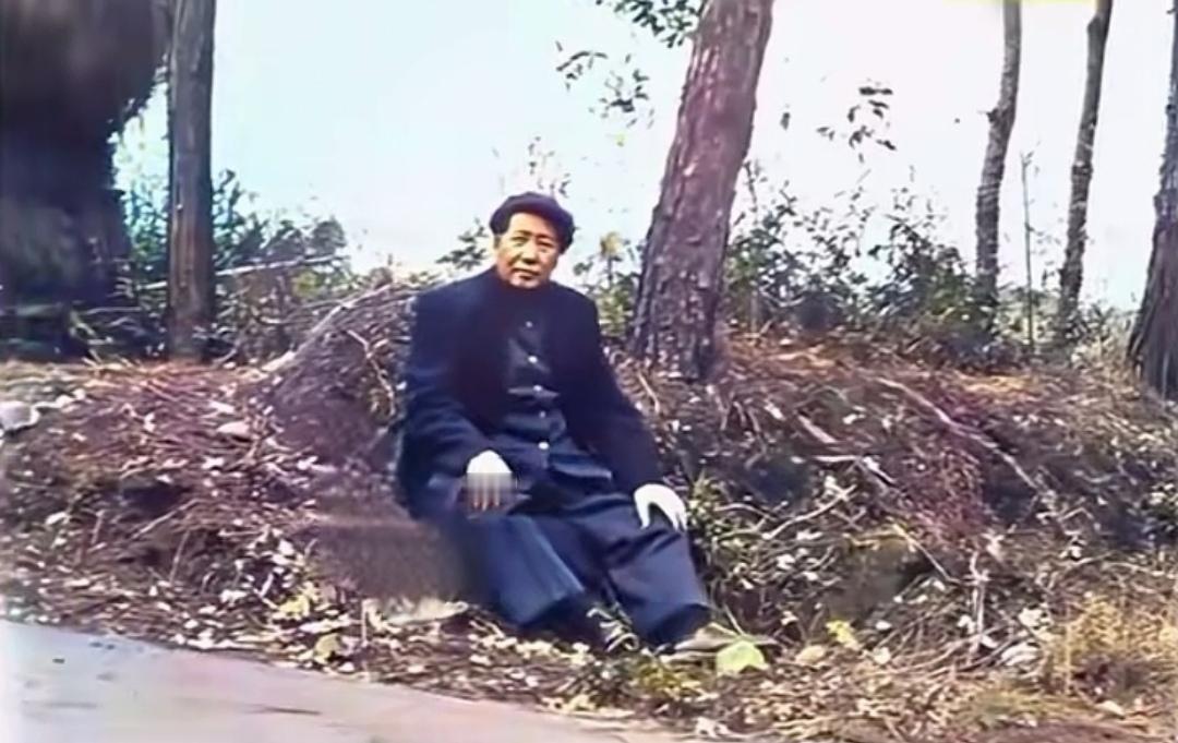 眼前一幕，令人心酸和泪目。

他是伟人也是老人，岁月不饶人。

独坐树下泥土坡上