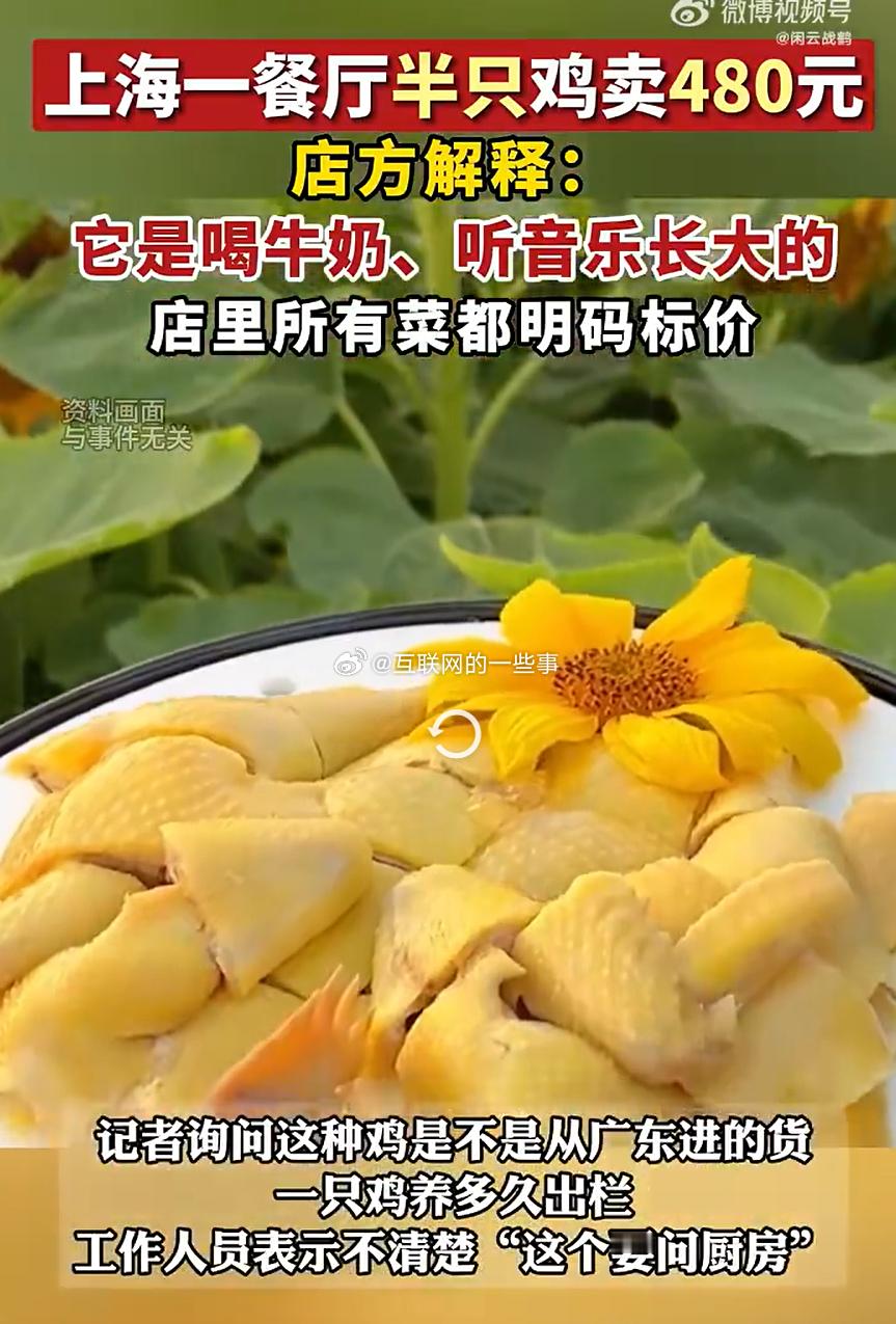 哈哈哈！这鸡怕不是还上过大学？喝完牛奶听交响乐，出栏前得考个艺术学位吧？店家真当