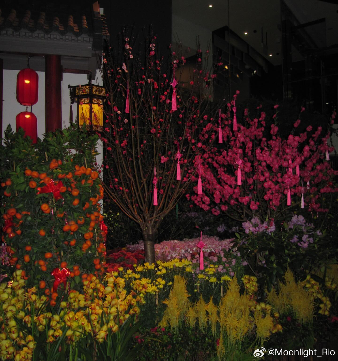 Leah和小莫在新加坡的日常📷 