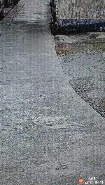 素质不错，技术不行。