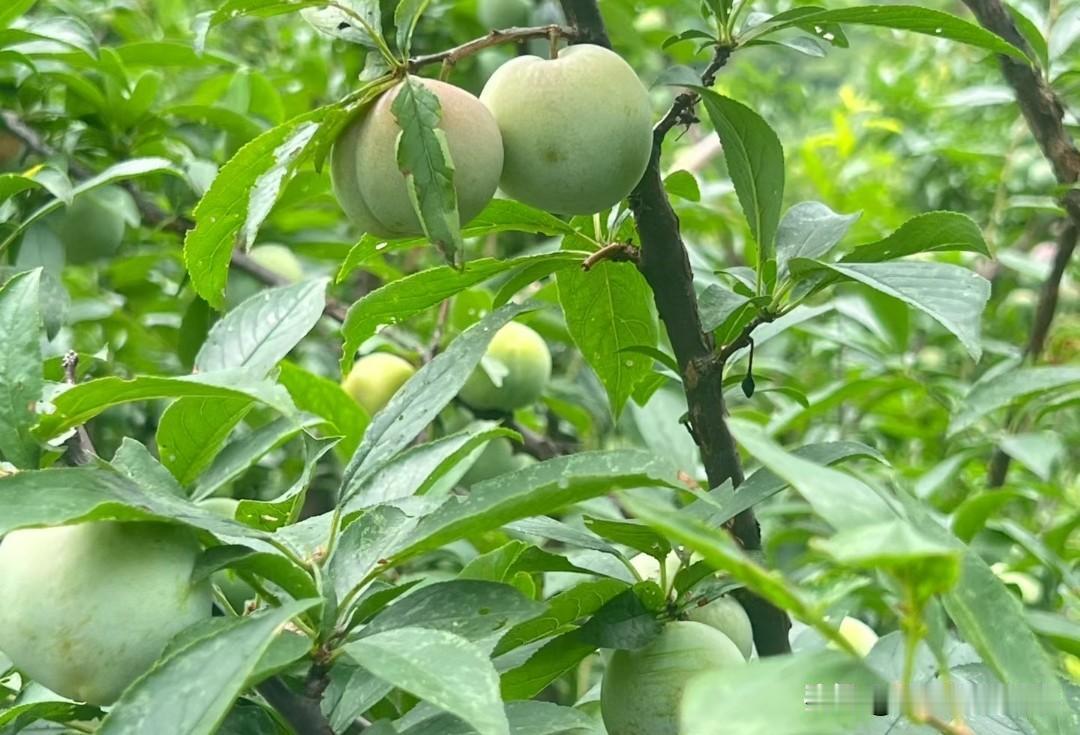 ❤️做人要懂分寸：话留三分，是给自己留退路；心藏一半，是给自己留尊严；情付八分，
