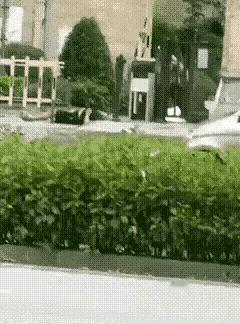 广西保安残忍捅杀两人，真下得去手啊，放倒了一个，接着就去捅另外一个，毫不手软，这