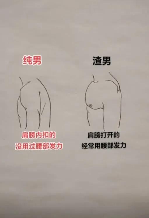 纯洁男孩与渣男肩膀的对比
