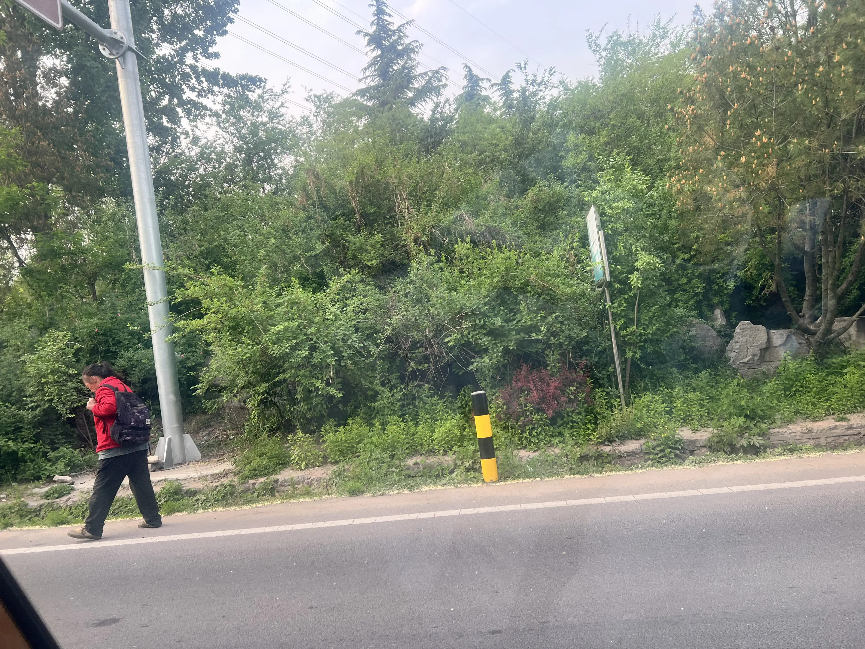 热门 村道两侧树木茂盛 道路上的行人 道路上的人