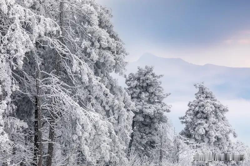 都说今年寒潮堪比2008年。很多学校比较人性化 都期末考试了。唯独我们这边还没有