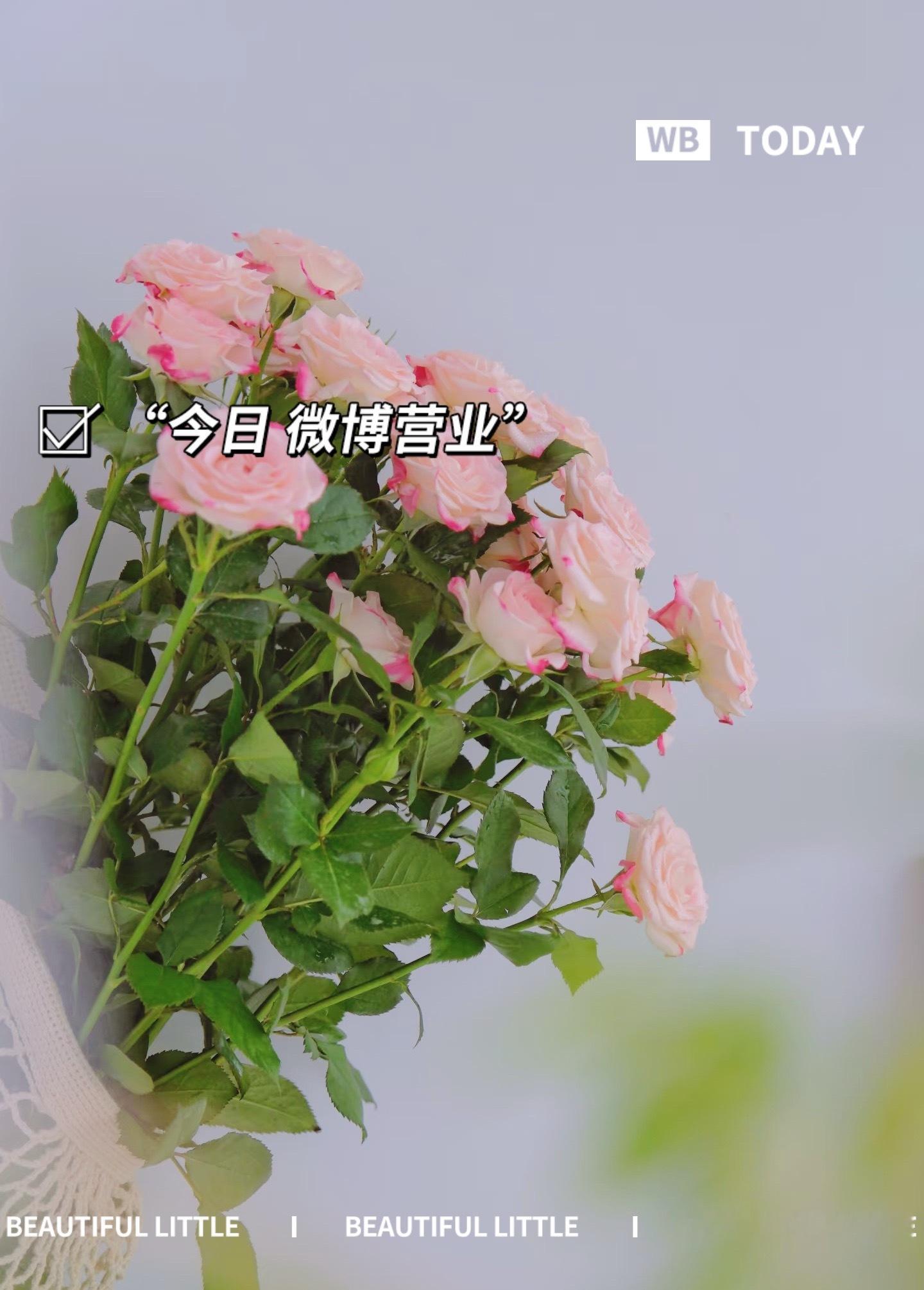 森林驿站  人生有两个境界：一个知道，一个知足；知道自己想要的，知足自己拥有的。