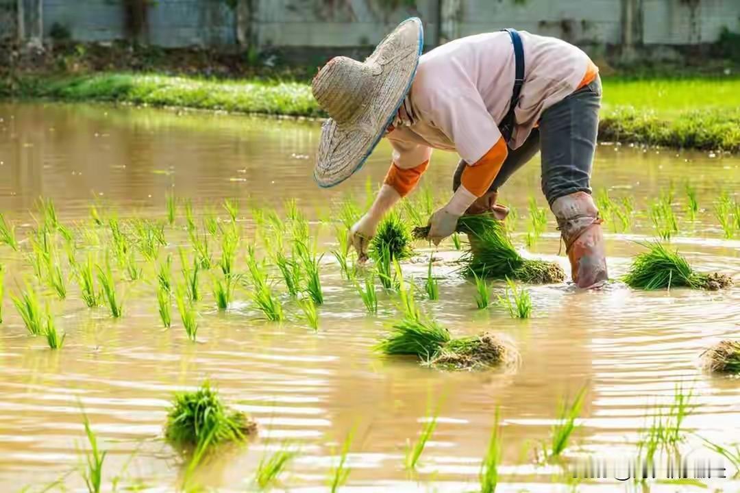 如果长时间离开农村，最好就不要再回去了
如果你是一个从农村里长大的社会人，从你离