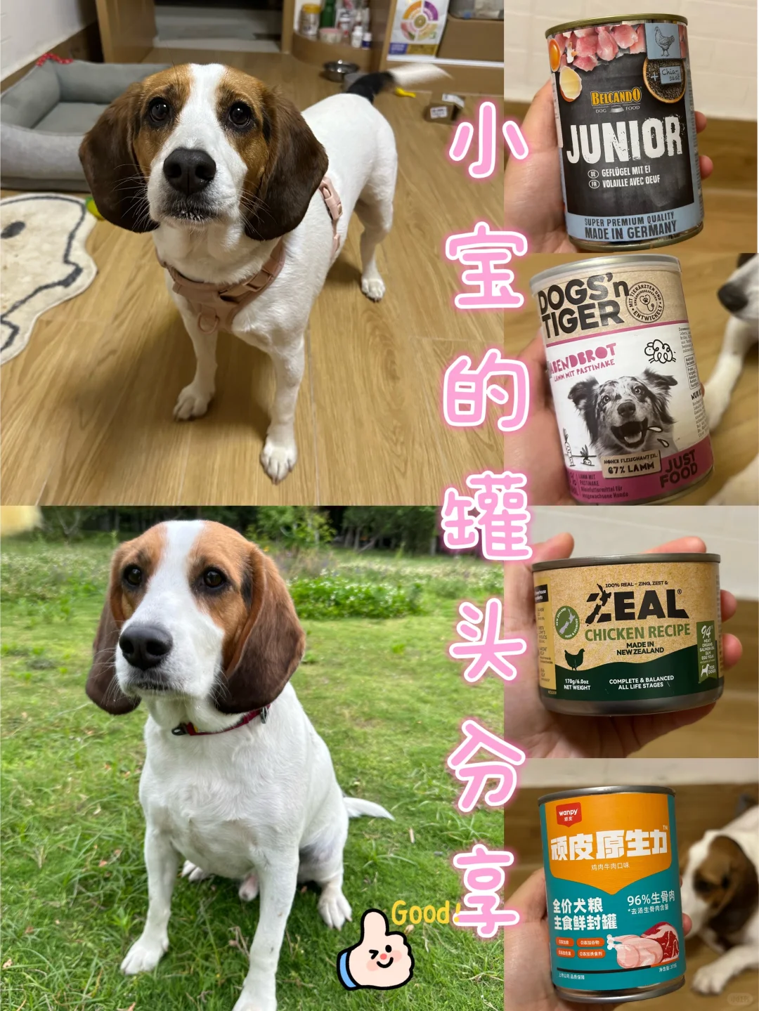 小宝爱吃的肉罐分享