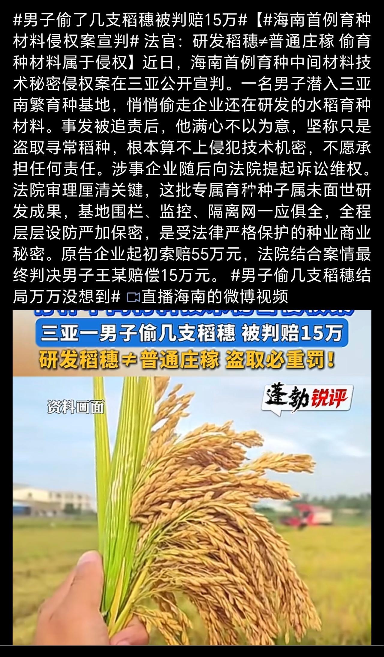 男子偷了几支稻穗被判赔15万基地围栏、监控、隔离网一应俱全，层层设防还觉得是寻常
