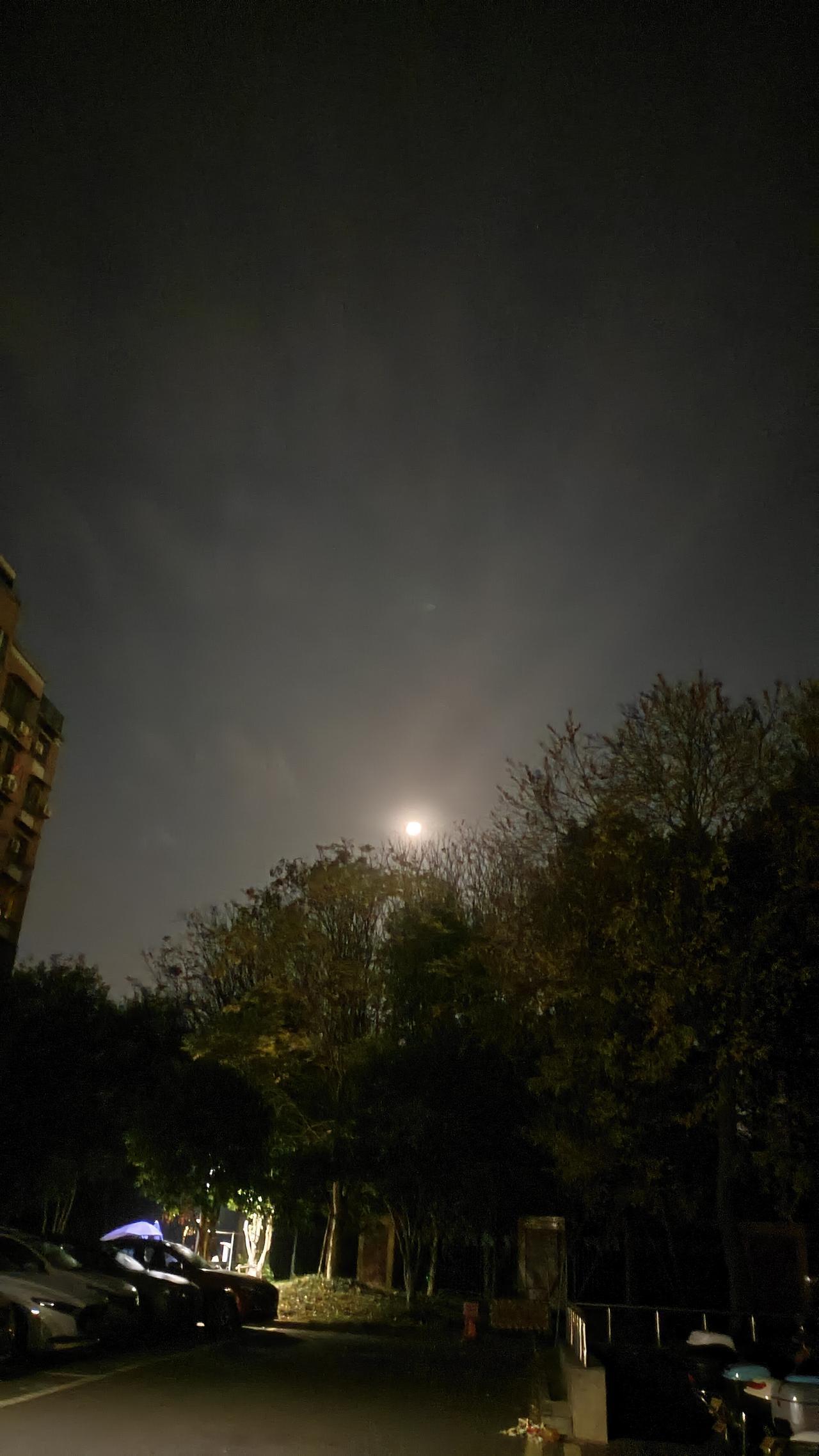 冬日生活打卡季月上柳梢头，人约黄昏后。