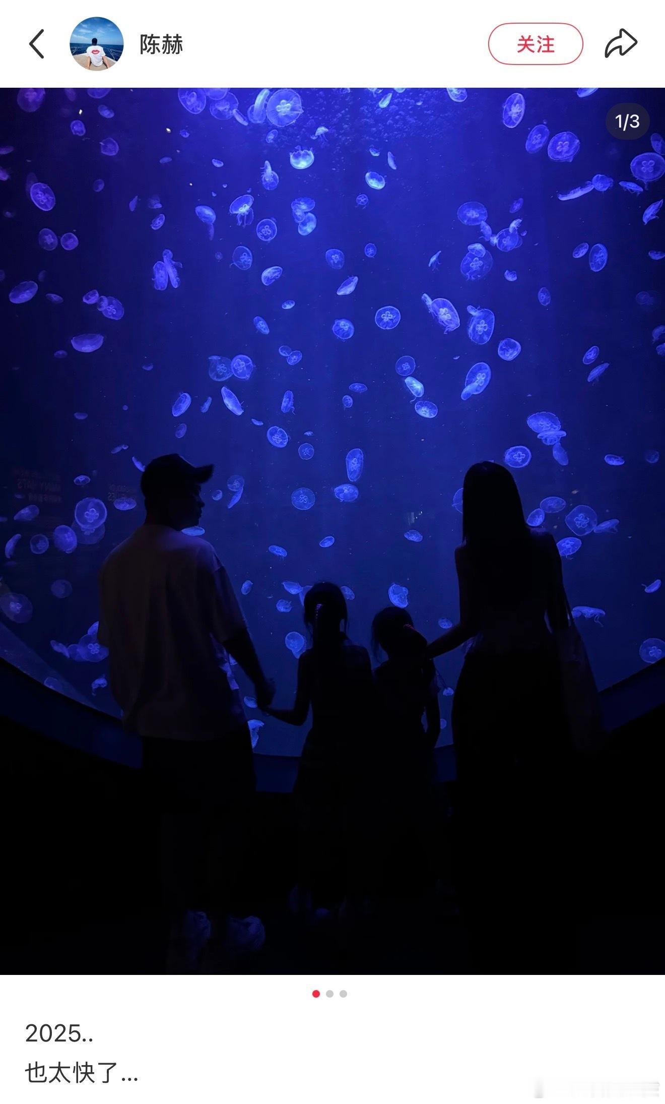 陈赫晒一家四口背影照陈赫晒一家四口出游背影照，有爱很温馨的样子～ 