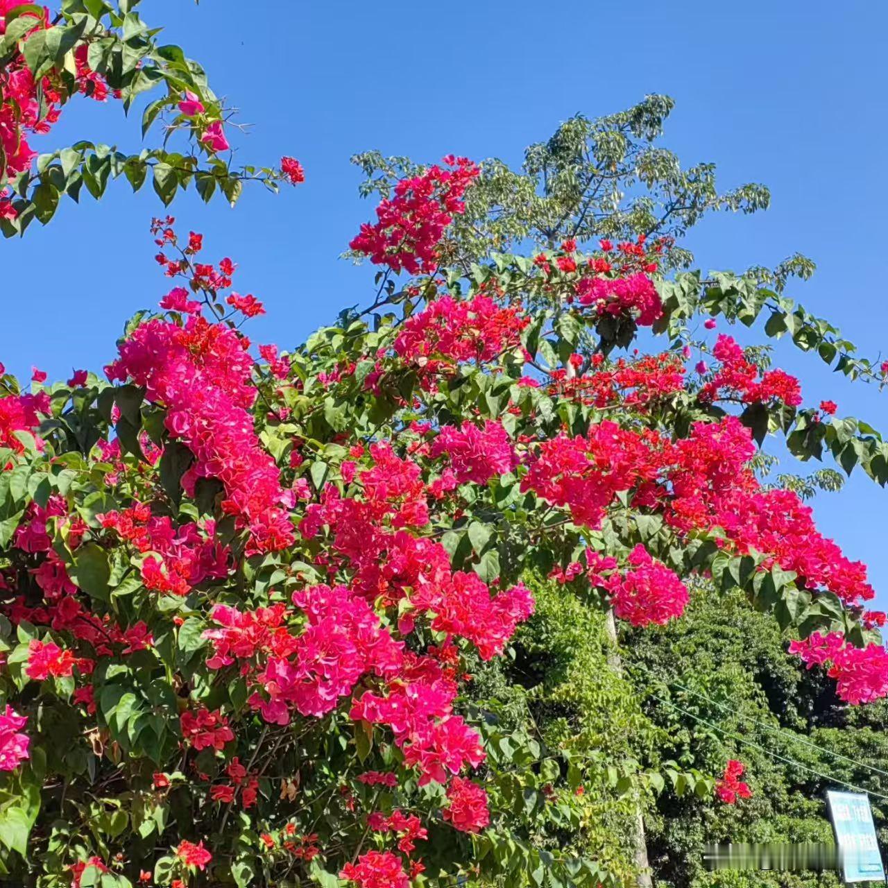 分享一下你随手拍下的照片