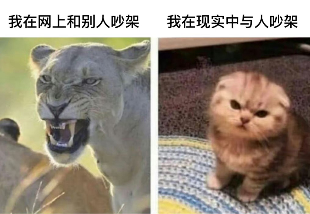 网络上吵架与现实中吵架的区别 ​​​