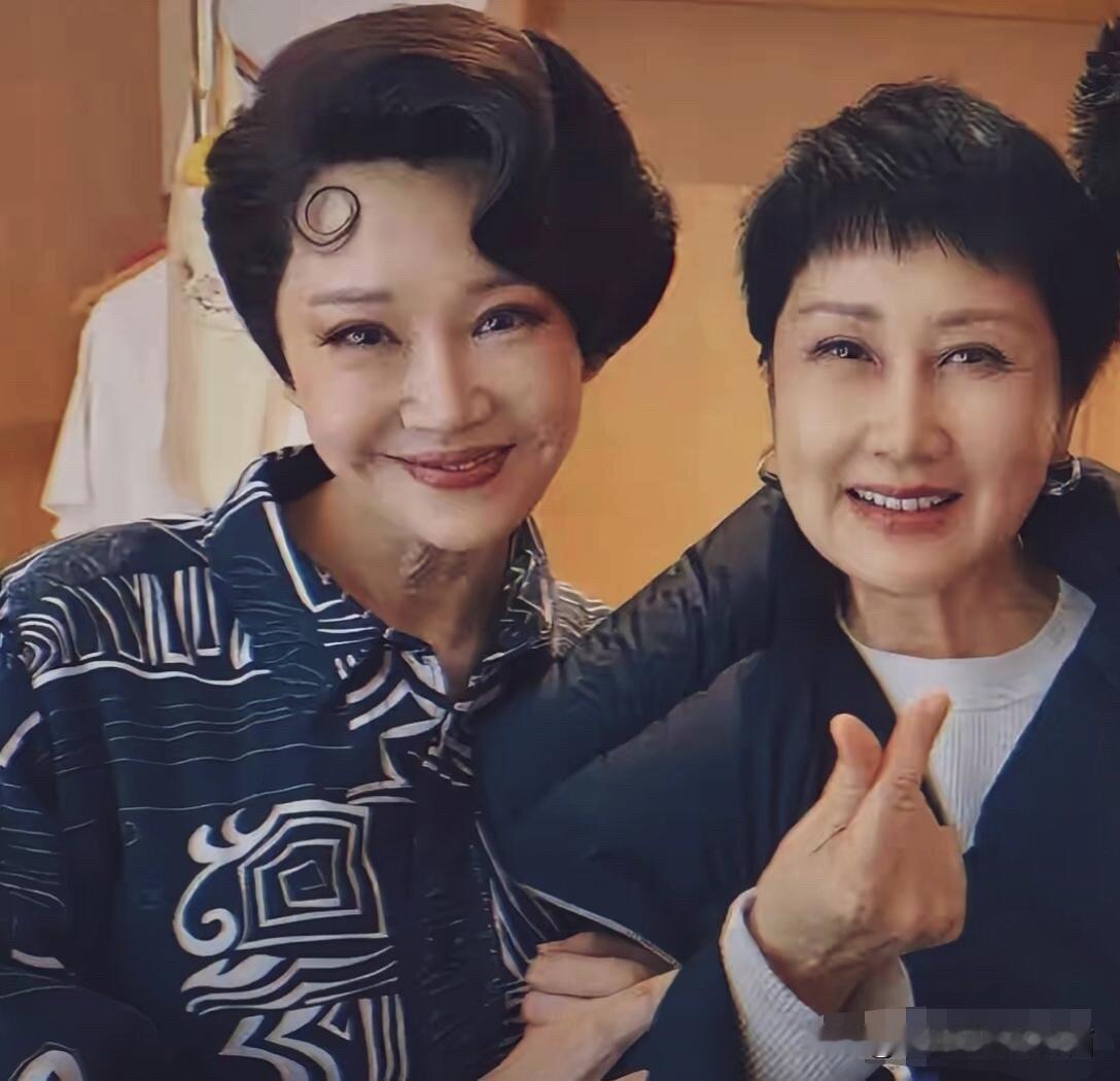 两个女演员的同框合影可以看出，她们都老了不少，没有年轻时俊俏的容颜了，年轻时许晴
