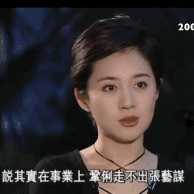 我一直觉得巩俐漂亮
是因为两部电影两个角色
一个是和林青霞、赵敏演的天仙童姥
一